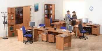 Мебель для персонала Альфа 61 Ольха в Барышево - baryshevo.mebel54.com | фото